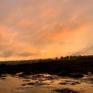 Meet your Posher, Lucy